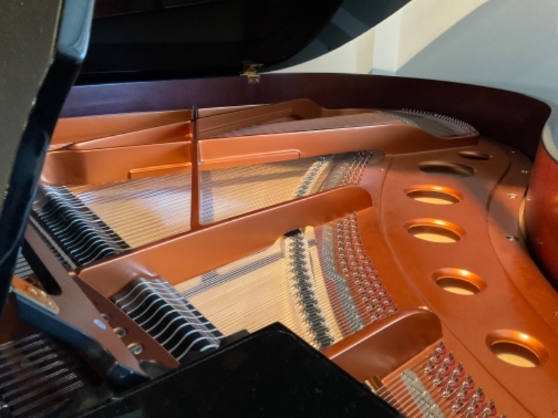 Additional image for Bosendorfer 170 VC